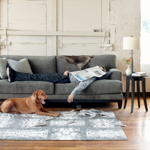 Decorating Fur Pets Ideas
