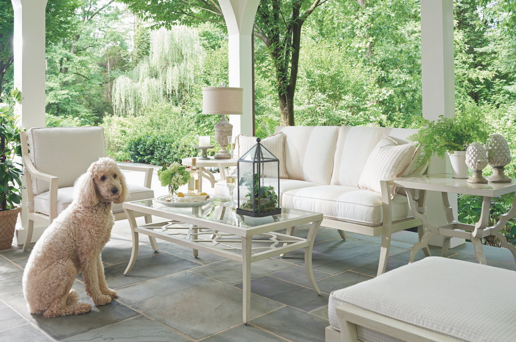Decorating Fur Pets! Protecting Your Furniture.