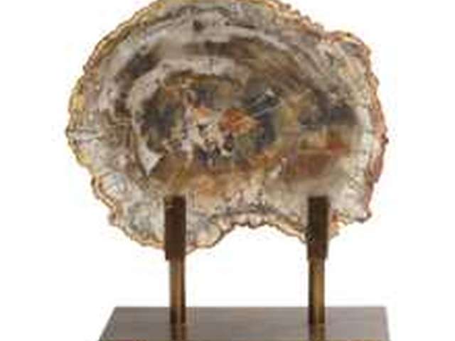 Petrified Wood Sculpture