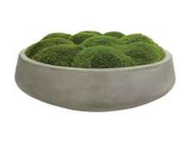 Cale Moss Centerpiece