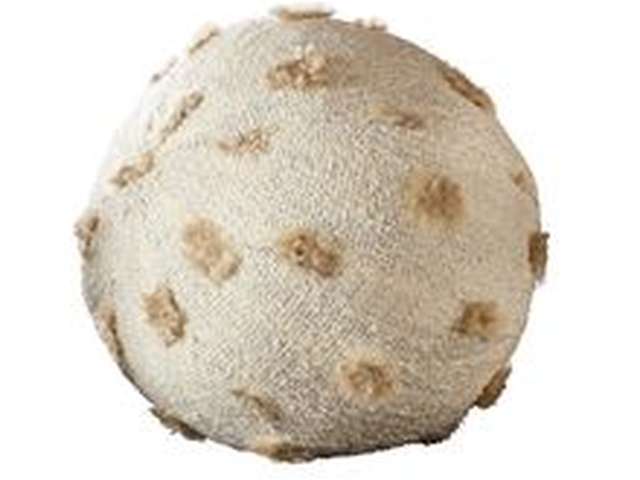Ball Bearing Pillow