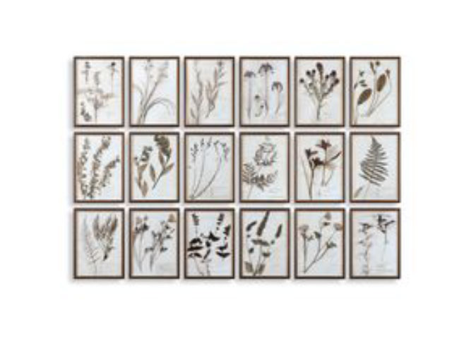 Botany Framed Prints Set of 18