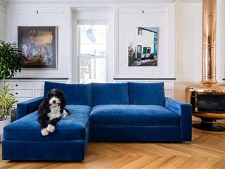 saltwolf collection by chaddock furniture